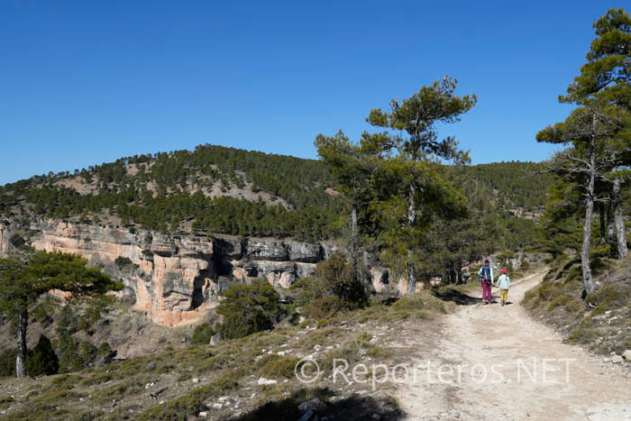 Caminamos por un sendero en llano durante un rato