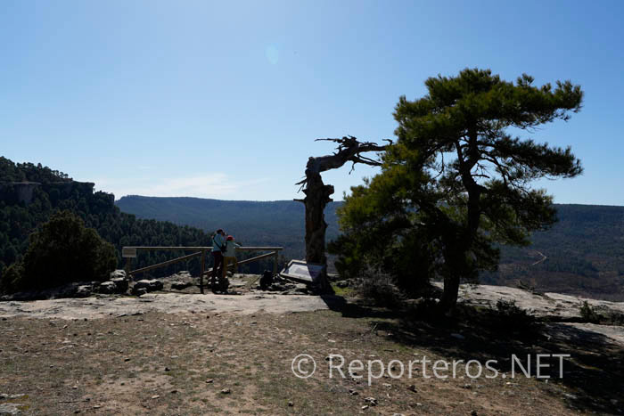 Otro mirador en el sendero