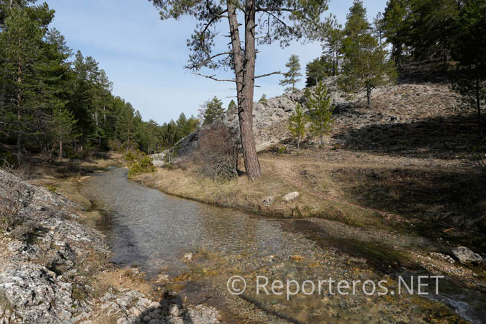 En este punto, vadeamos el río por unos troncos