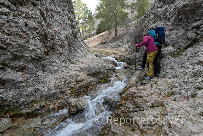 El sendero está casi impracticable, nos damos la vuelta