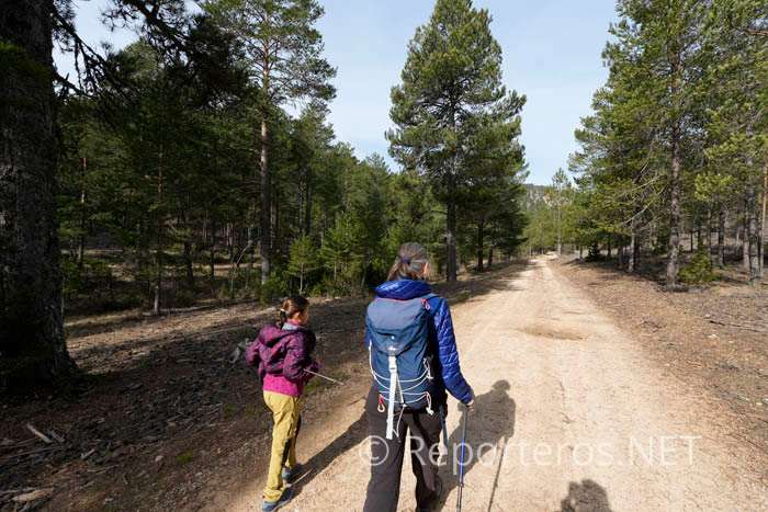 Regresamos sobre nuestros pasos
