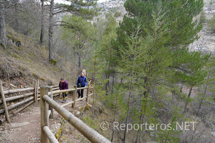 El sendero está equipado con pasamanos y puentes de madera