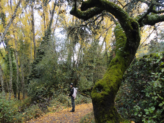 Vive el Otoño en la Sierra de Aracena: planes con niños