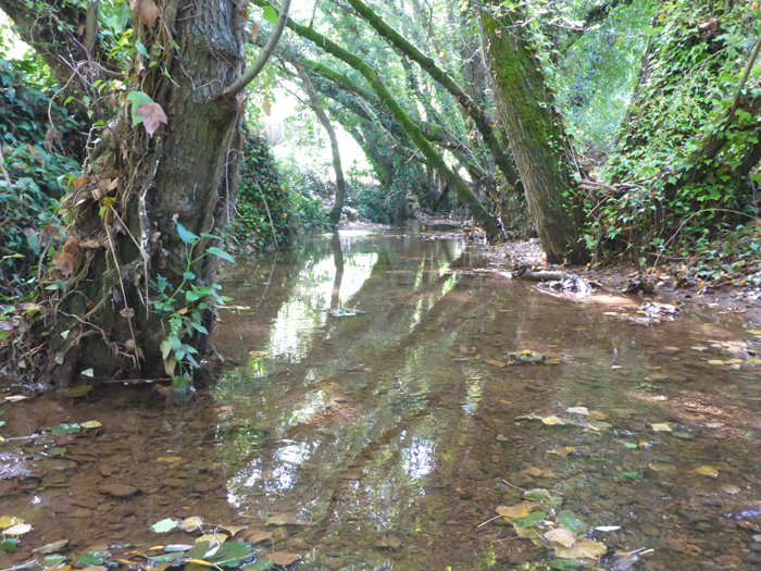 Río Múrtigas Río Múrtigas