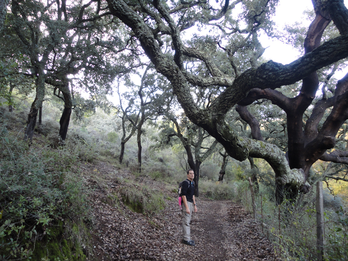 Sendero al Cerro San Cristobal Sendero al Cerro San Cristobal