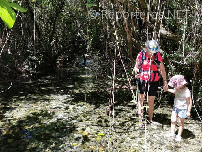 Caminamos por el lecho del arroyo Caminamos por el lecho del arroyo