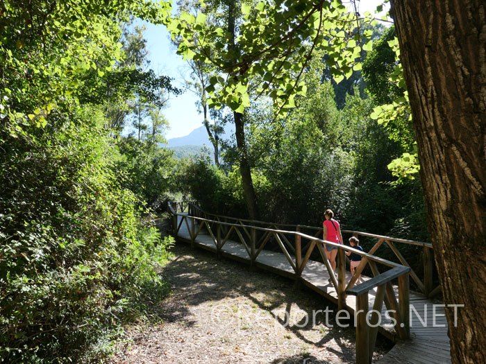 Pasarela de madera instalada en un punto Pasarela de madera instalada en un punto