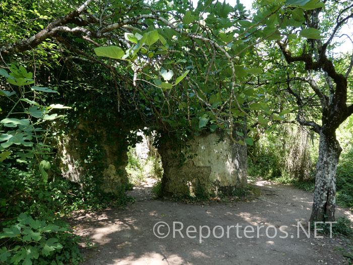 Ruinas de un viejo molino harinero Ruinas de un viejo molino harinero