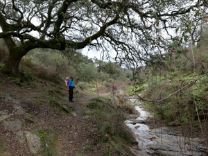 Sierra Norte de Sevilla