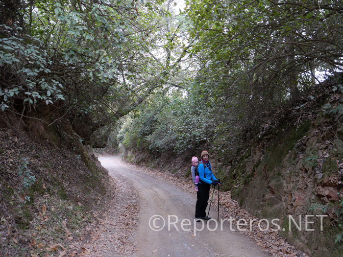 La mayor parte de la ruta discurre a la sombra de los árboles La mayor parte de la ruta discurre a la sombra de los árboles