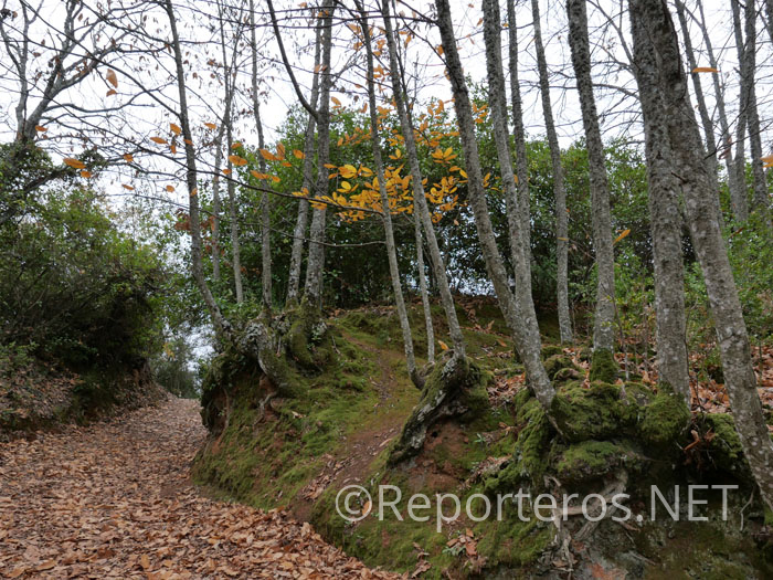 Precioso rincón del camino Precioso rincón del camino