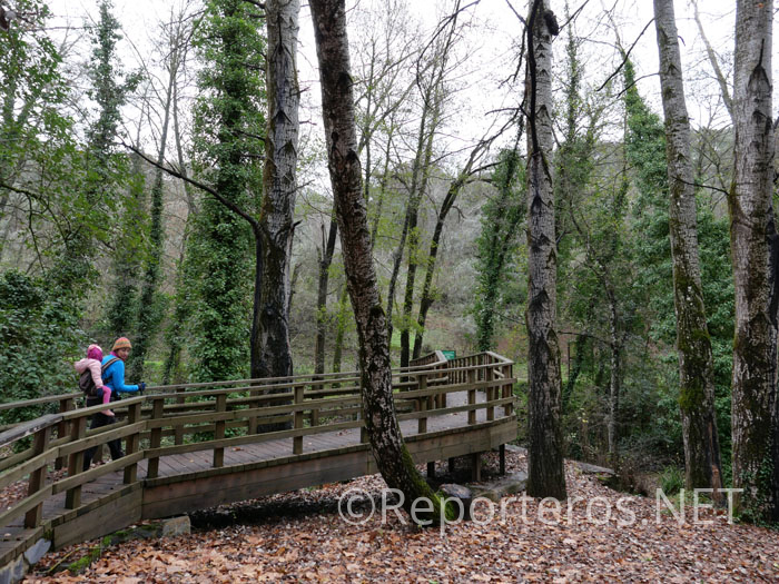 Puente para cruzar al otro lado del río Puente para cruzar al otro lado del río