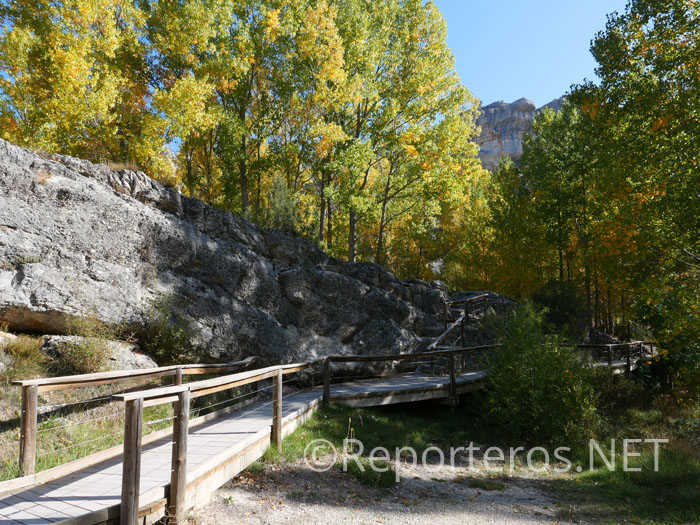 El sendero está habilitado con pasarelas de madera El sendero está habilitado con pasarelas de madera