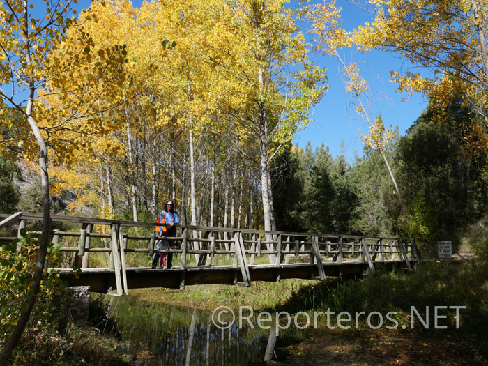 Puente para cruzar el cauce del río Puente para cruzar el cauce del río