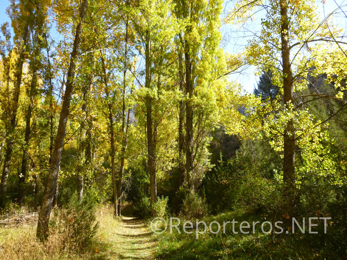 Camino de vuelta Camino de vuelta