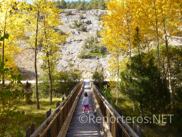 Puente al final Puente al final
