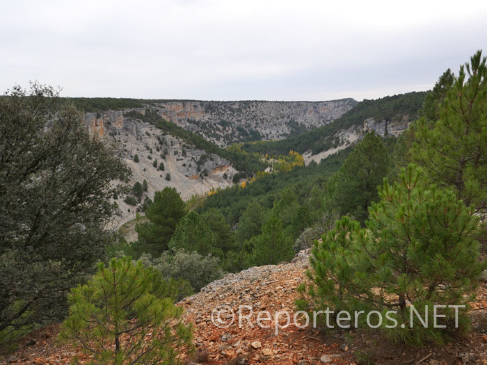 Vistas sobre el cañón Vistas sobre el cañón