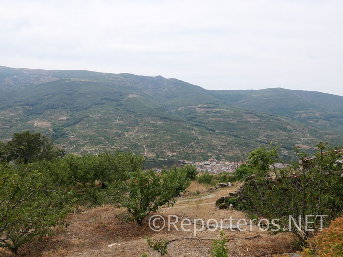 Vista desde arriba de los cerezos y el pueblo abajo Vista desde arriba de los cerezos y el pueblo abajo