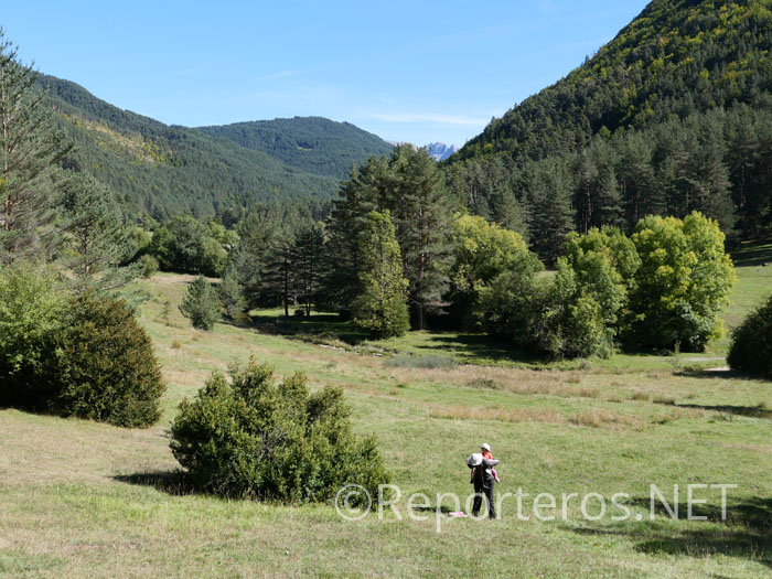 Llegamos a una pradera con vistas a las montañas Llegamos a una pradera con vistas a las montañas