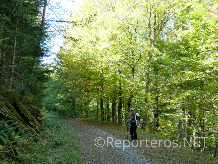 Camino final hacia el Refugio de Linza Camino final hacia el Refugio de Linza