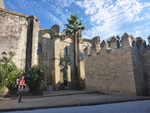 Vejer de La Frontera: Balcón de la Janda