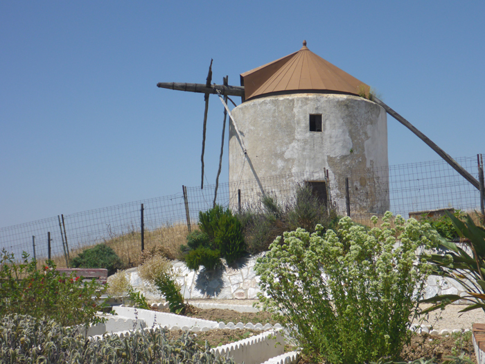Molino Molino