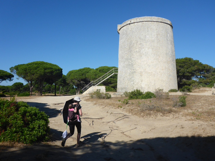 Torre del Tajo Torre del Tajo