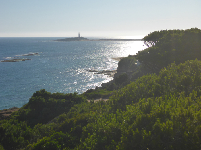 Vista de Faro de Trafalgar Vista de Faro de Trafalgar