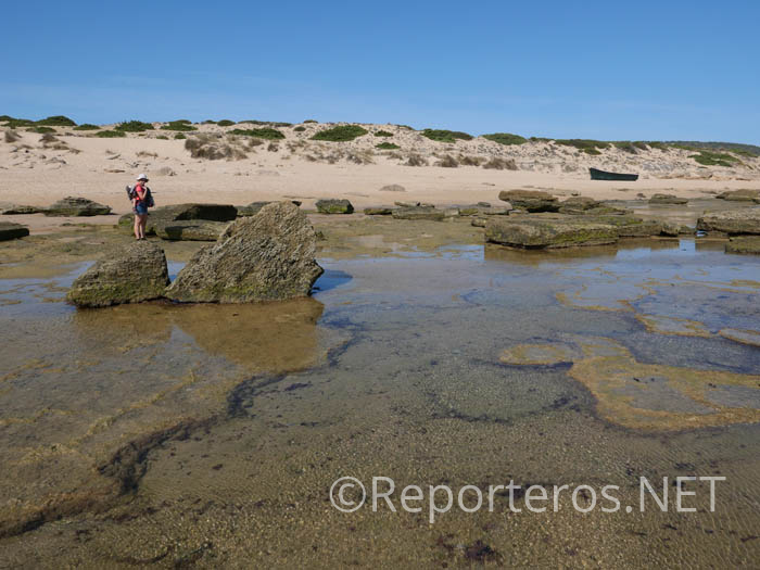 Pequeños charcos donde se pueden encontrar pequeños peces, cangrejos... Pequeños charcos donde se pueden encontrar pequeños peces, cangrejos...