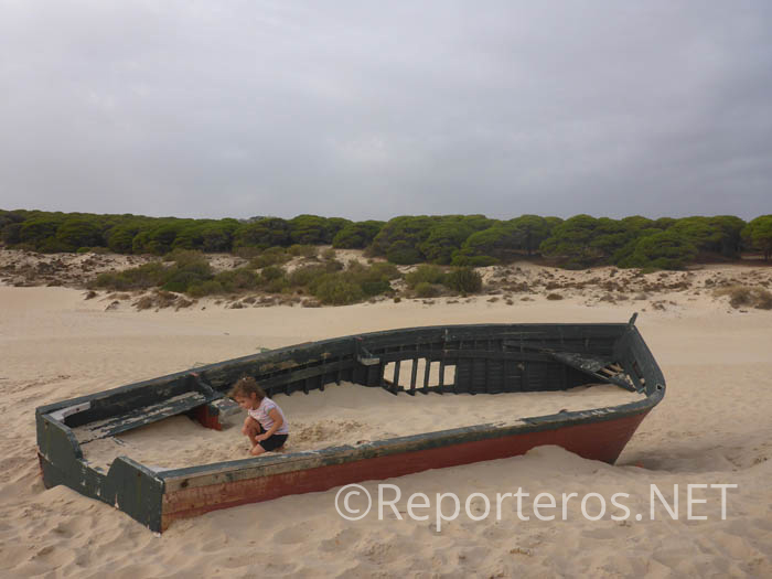 Embarcación varada en la playa de Bolonia Embarcación varada en la playa de Bolonia