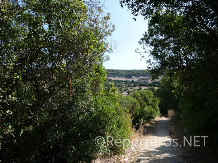 El sendero parte de la calle Miramundos, en Vejer El sendero parte de la calle Miramundos, en Vejer