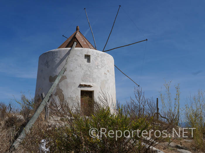Molino Molino