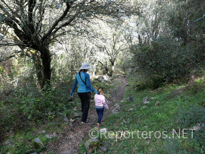 El sendero continua paralelo al arroyo de las Hontanillas El sendero continua paralelo al arroyo de las Hontanillas