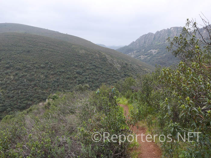 La pista de transforma en senda para bajar al canal La pista de transforma en senda para bajar al canal